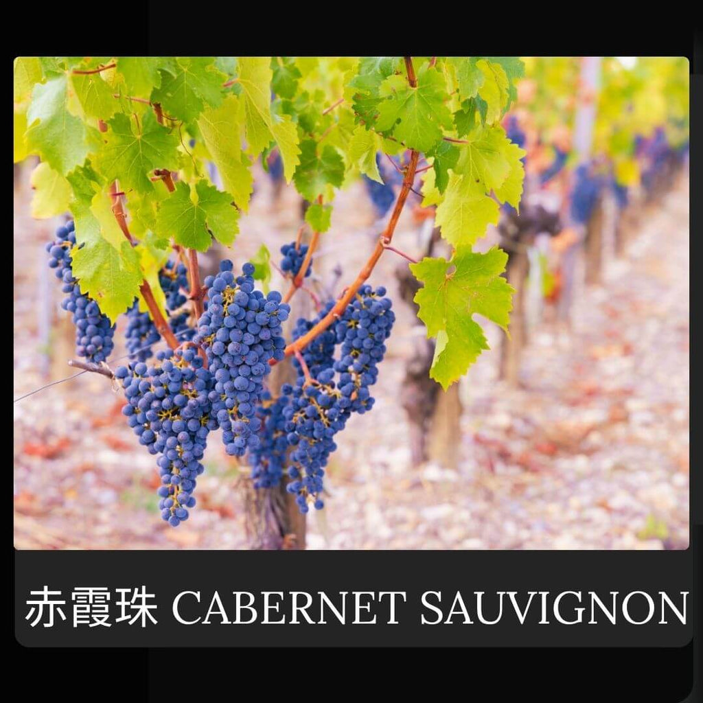 Cabernet Sauvignon Grape